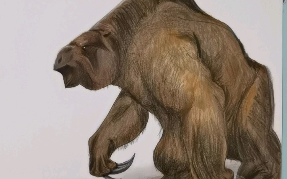 画大地懒,对,就是正确读法应该是大地獭的那个史前巨兽～