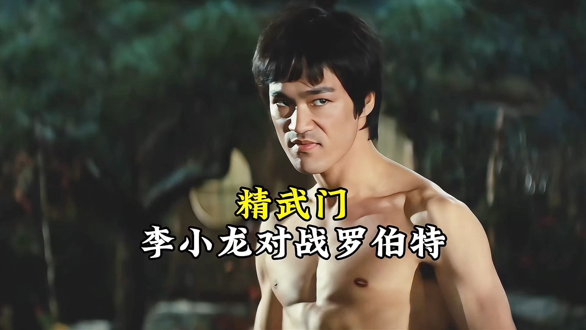 李小龙格斗闯关游戏(李小龙格斗游戏手机版)