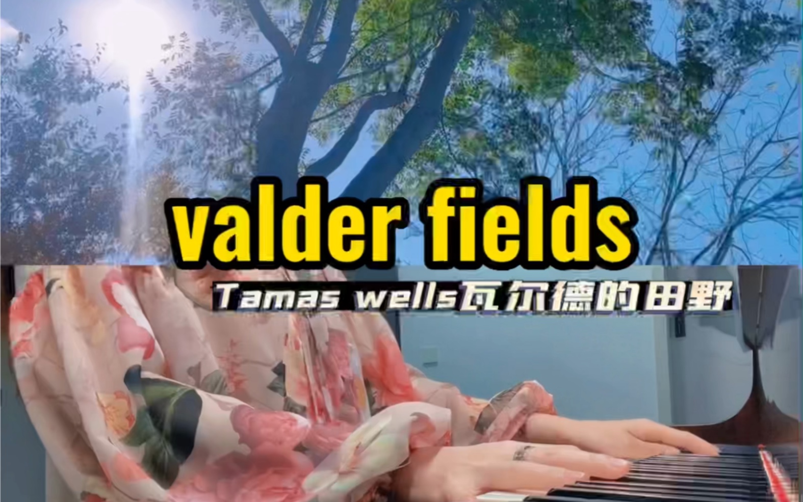 Valder fields 瓦尔德的田野浦东分野哔哩哔哩bilibili