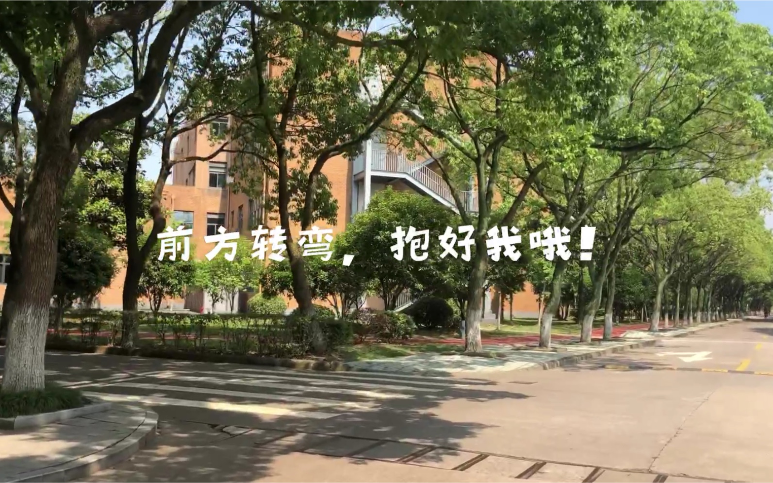 校园法拉利视角下的宁波大学1.0哔哩哔哩bilibili