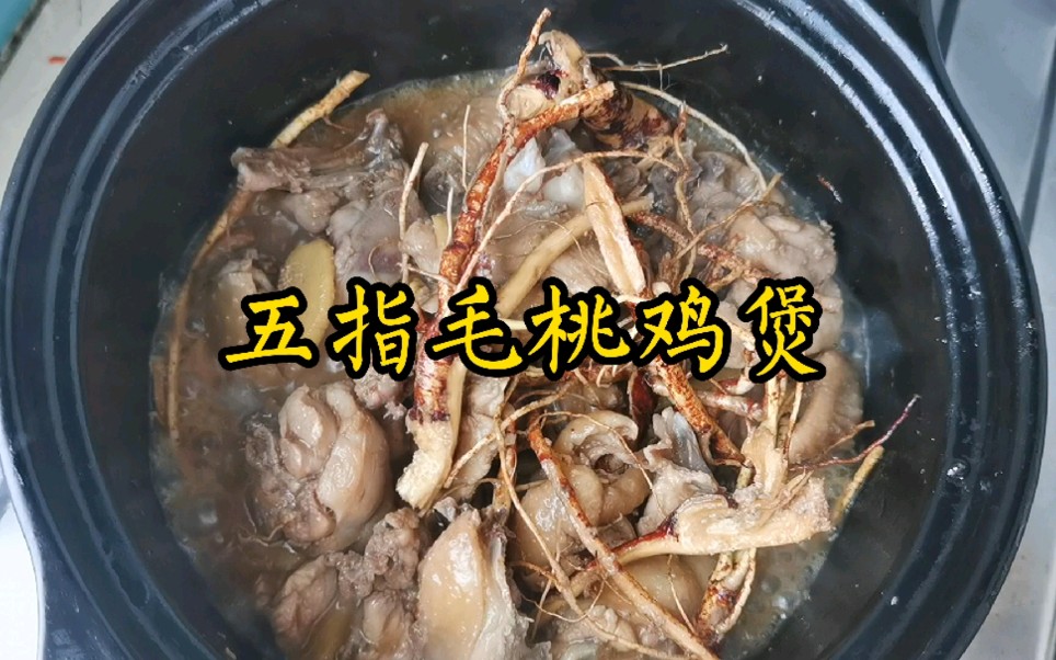 五指毛桃拿来做鸡煲香味飘出几条街吃的连汤汁都不剩