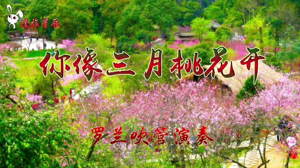 你像三月桃花开电吹管高音萨克斯音色演奏欢迎收看关注