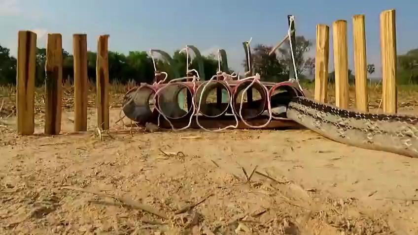 可乐瓶制作的100捕蛇陷阱