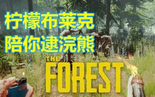 森林the Forest 搜索结果 哔哩哔哩 Bilibili