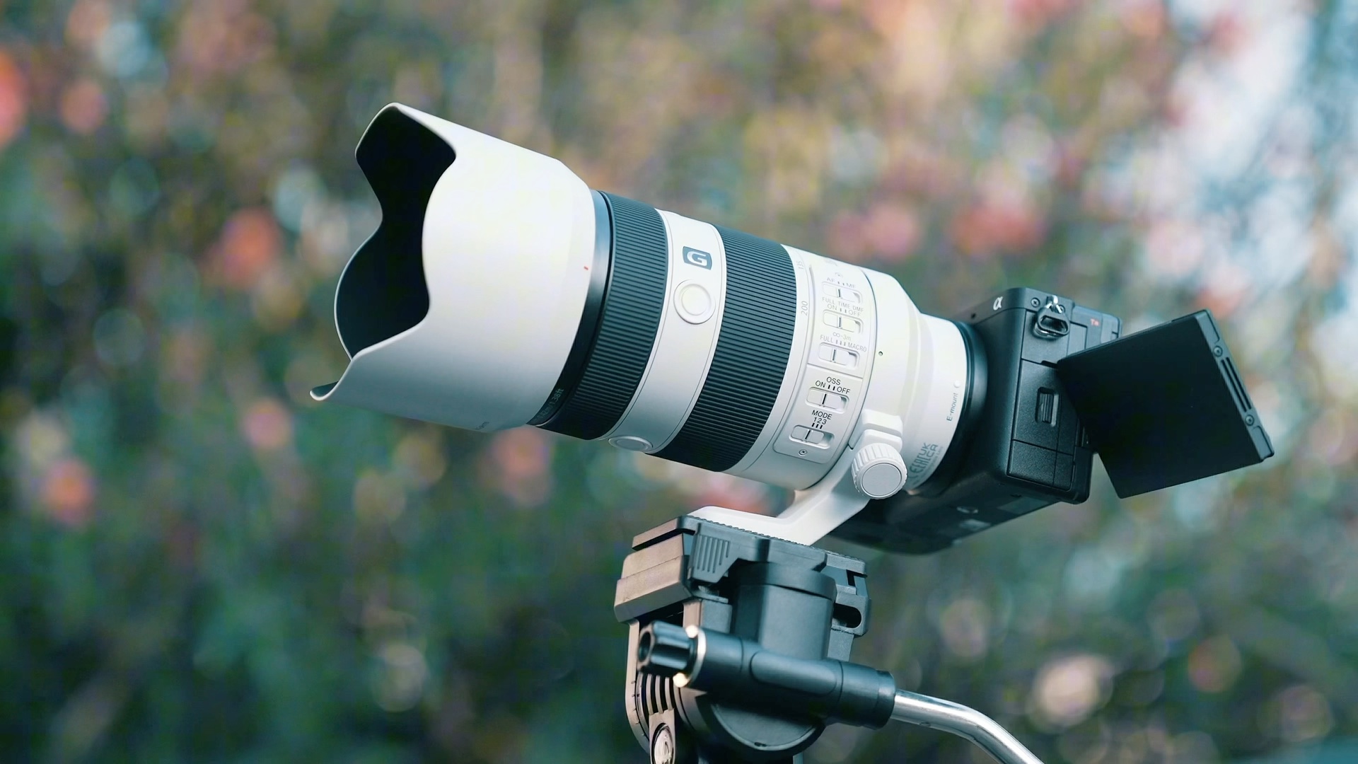 索尼新品a6700和70200f4二代开箱,性能解读和样片来啦