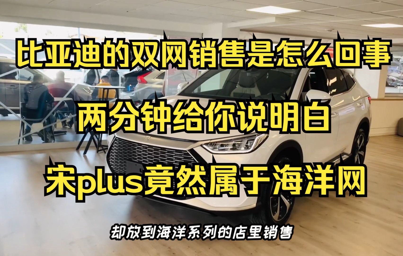 比亚迪的销售网有多混乱?闹了半天宋plus竟然属于海洋网哔哩哔哩bilibili