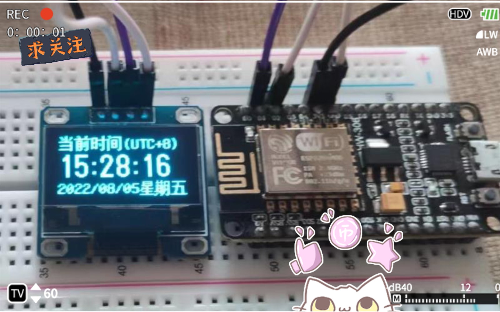 基于esp8266开发版的互联网络天气时钟(代码教程在评论区置顶)哔哩哔哩bilibili