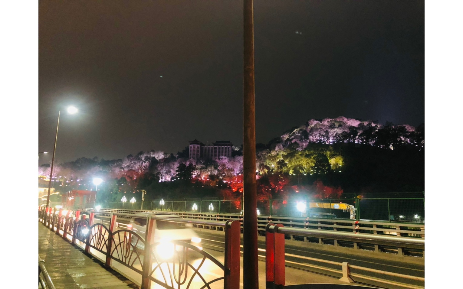 催科山夜景图片