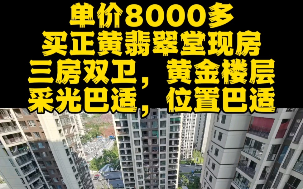 宜宾南岸,正黄翡翠堂现房,横厅户型,三房双卫,单价8000多哔哩哔哩bilibili