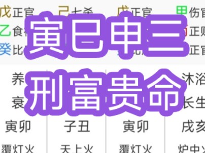 寅巳申三刑富贵命哔哩哔哩bilibili