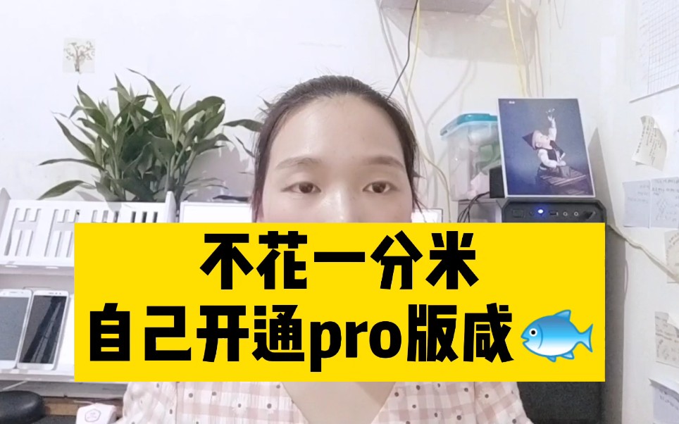 咸鱼如何开通pro版本?哔哩哔哩bilibili