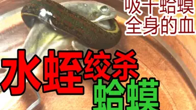 未開封 竹谷隆之 蛭子命 ヒルコノミコト モールドスタンプ レジンキット 竹谷隆之 蛭子命 ヒルコノミコト クロスワークス ガレージキット