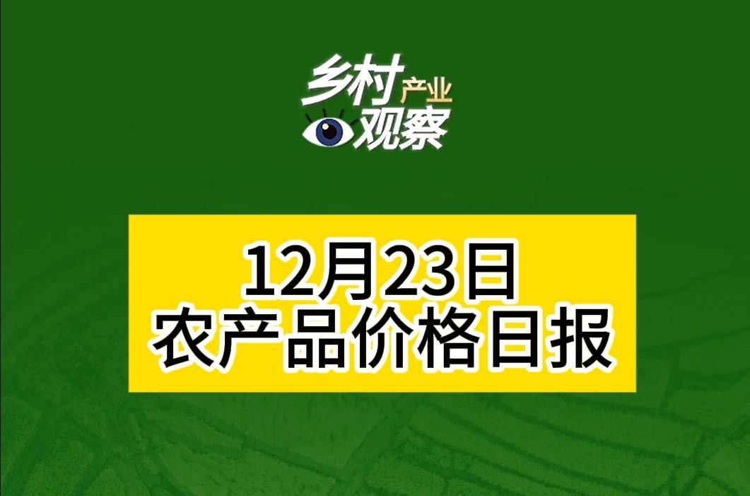 12月23日播报农产品价格日报来啦~哔哩哔哩bilibili