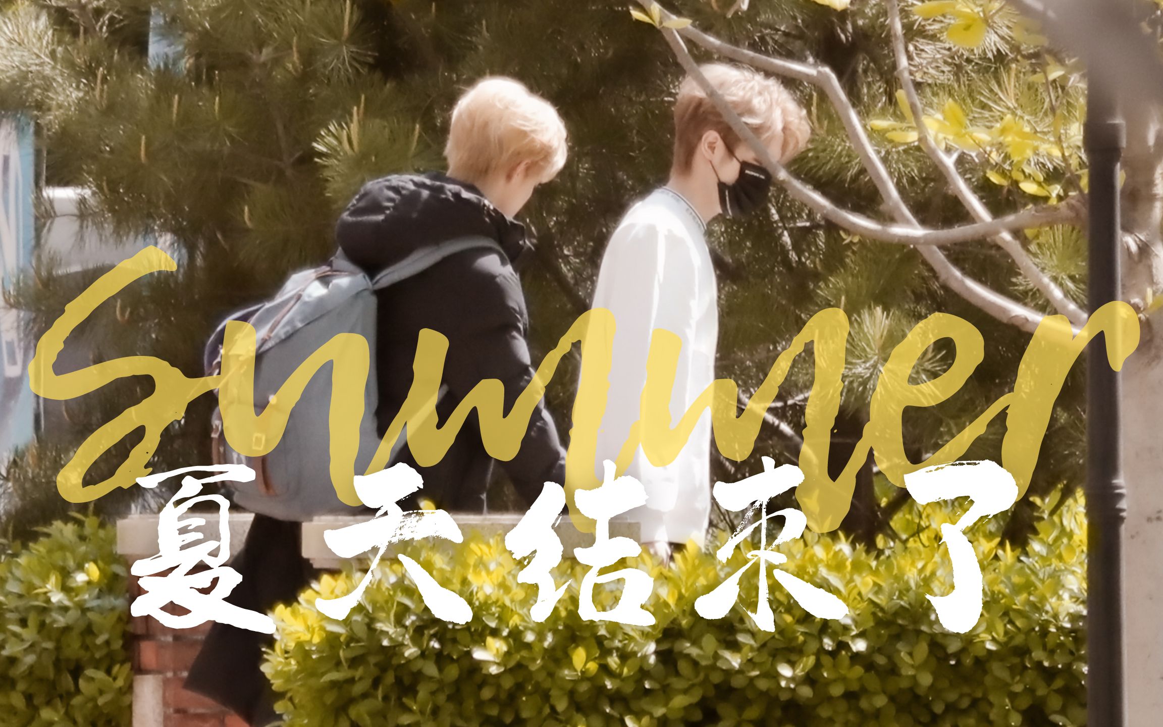 【风余同舟】夏日的遗憾终将会成为秋日的惊喜