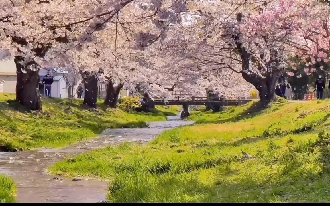 [图]春暖花开，幸福向你而来