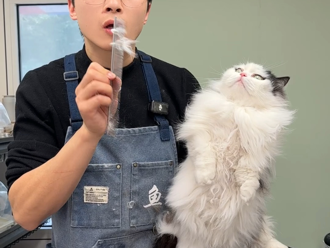 坐着蜂蜜罐罐来的宝也太可爱了吧#鱼白白洗猫