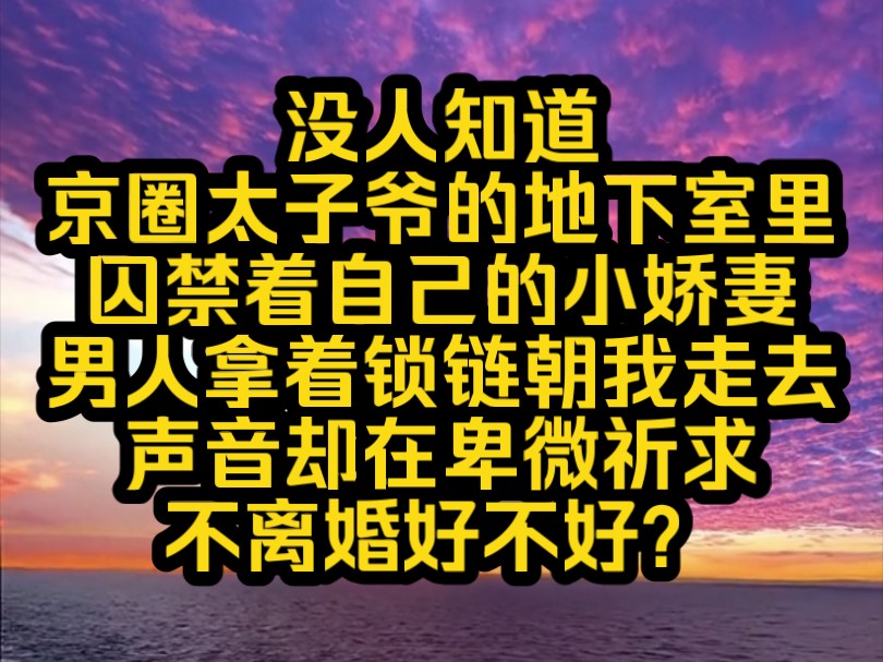 [图]《南昔入骨》没人知道，京圈太子爷的地下室里囚禁着自己的小娇妻。男人拿着锁链朝我走去，声音却在卑微祈求，不离婚好不好？