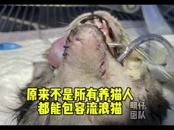 Descargar video: 猫咪叫饭团，据求助人描述，因肚子太饿跑进别人家了偷吃了一口猫粮，被人打烂了嘴巴，原来不是所有养猫人都能包容流浪猫#明仔团队 #流浪猫救助 #我和流浪猫的故事