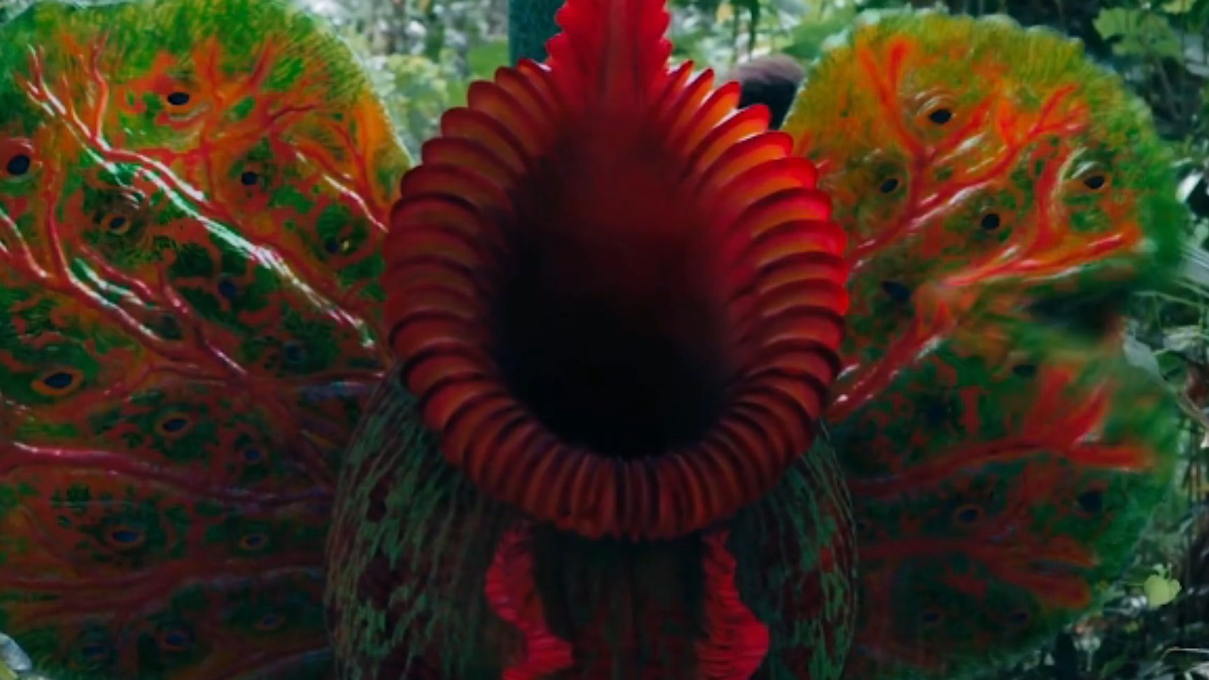 这些变异的物种,你见过几个