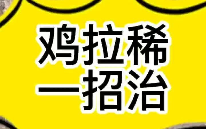 鸡拉稀怎么办小鸡拉水吃什么小鸡着凉拉稀怎么办哔哩哔哩bilibili