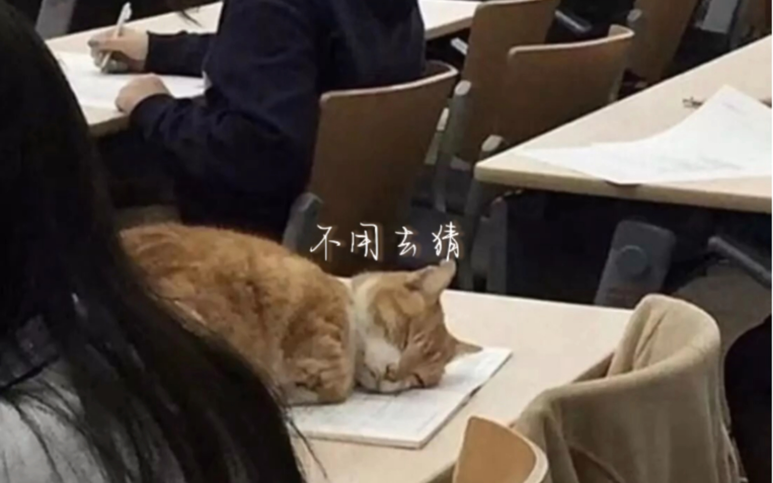 不用去猜伴奏背景板哔哩哔哩bilibili