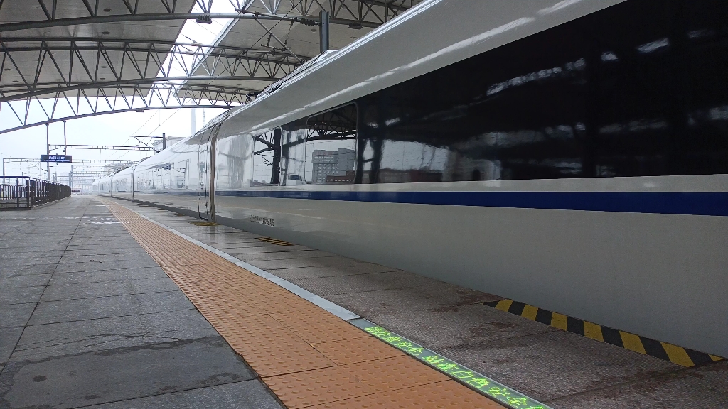 crh380bg5559重联crh380bg5574担当g1256进沈阳北站