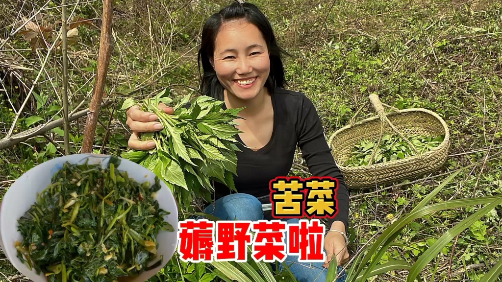 [图]野菜遍地长，农村妹上山采苦菜，越掐越有劲，一不小心就薅多了