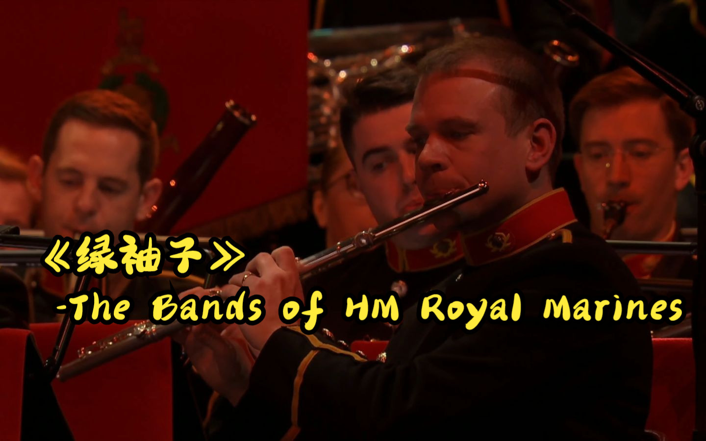 【交响乐】Greensleeves (《绿袖子》)The Bands of HM Royal Marines哔哩哔哩bilibili