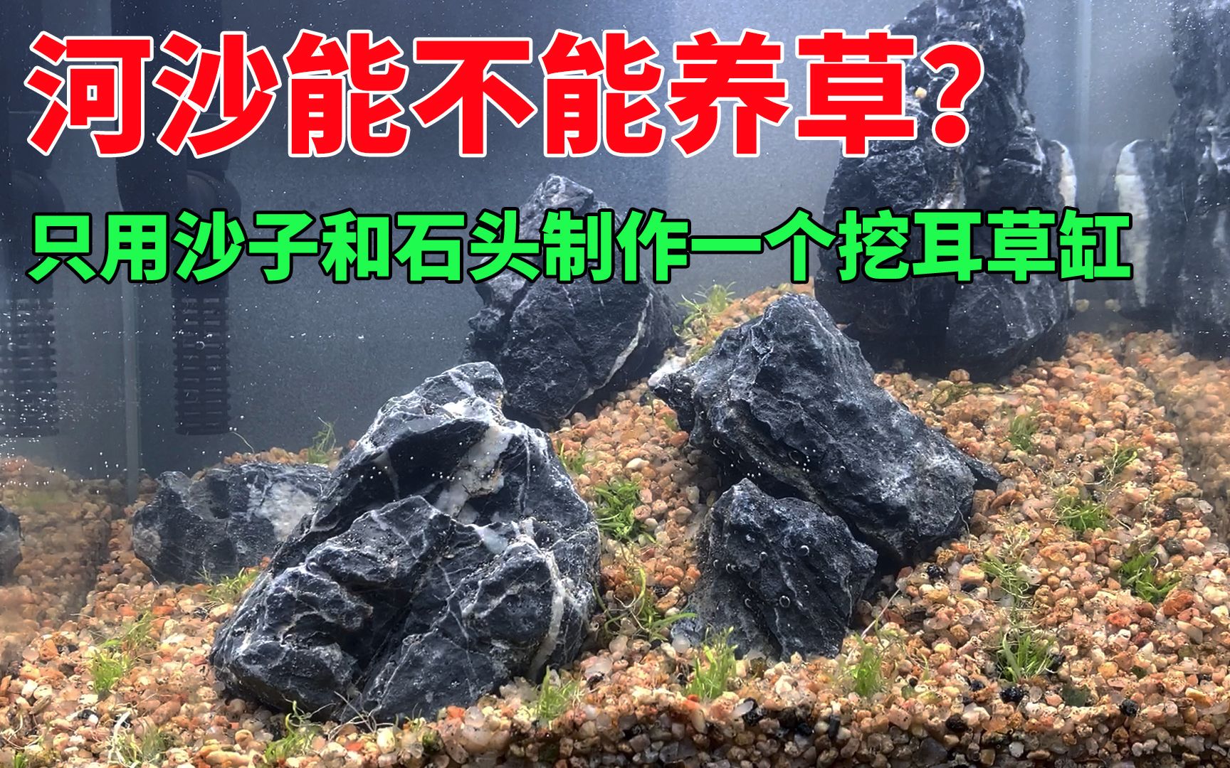 河沙到底能不能养草?只用沙子和石头制作一个挖耳草缸#vlog我的2020# #vlog#哔哩哔哩bilibili