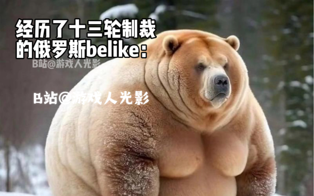 [图]经历了十三轮制裁的俄罗斯belike：