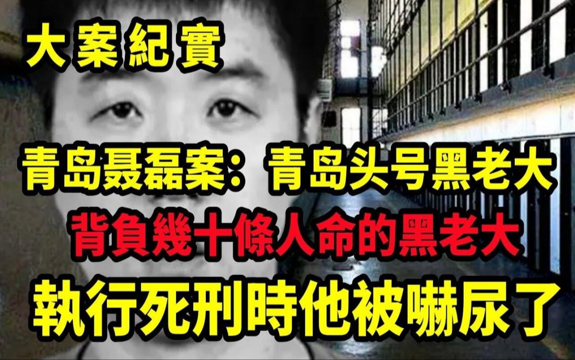 【吕鹏大案纪实】青岛聂磊案:青岛“头号黑老大, 青岛黑老大聂磊覆灭记,称霸青岛10余年,无恶不作,大案纪实哔哩哔哩bilibili