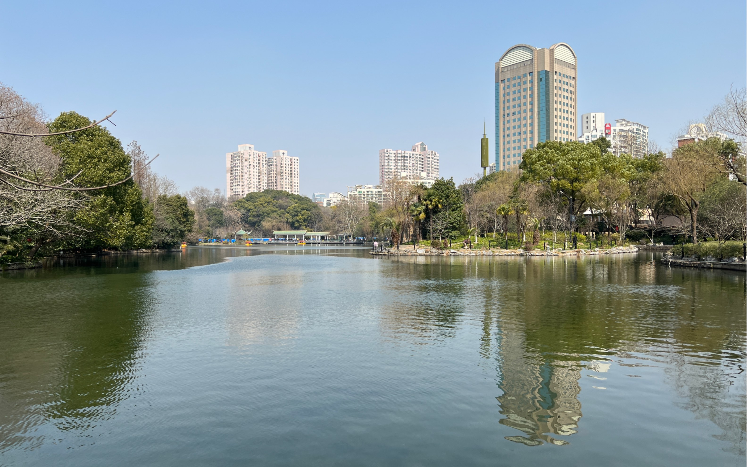 疏影横斜水清浅『鲁迅公园湖景』