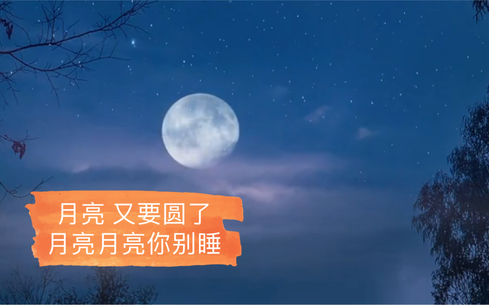 十五的月亮 又要圆了,这首%月亮月亮你别睡 又97了