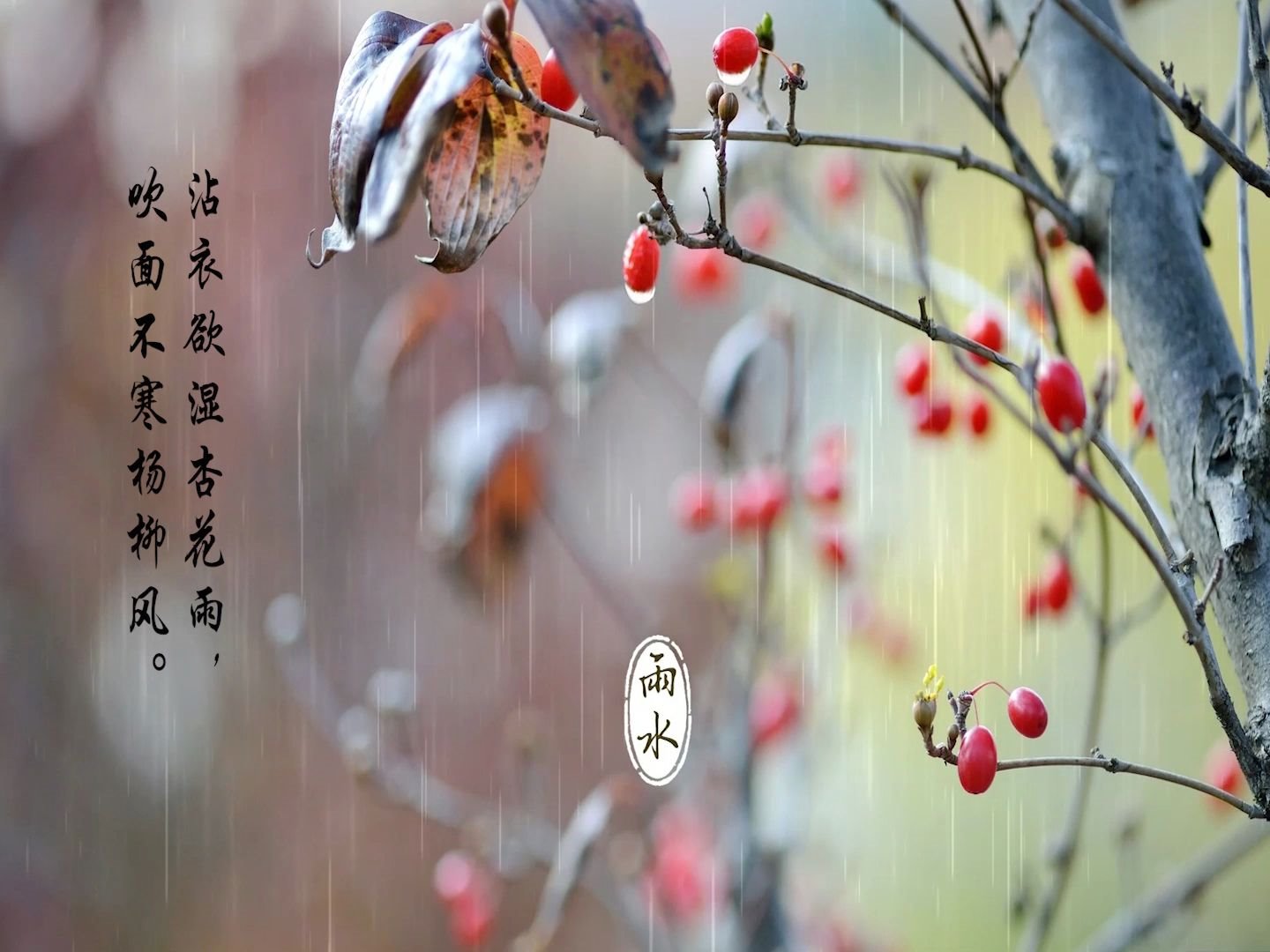 [图]【沾衣欲湿杏花雨，吹面不寒杨柳风】今日雨水，盘点古诗词中的春雨