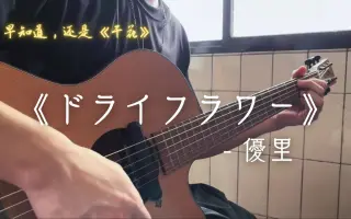 ドライフラワー 哔哩哔哩 Bilibili