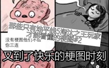 [图]那些只有地平线5淘汰之王玩家才能看懂的梗图#2