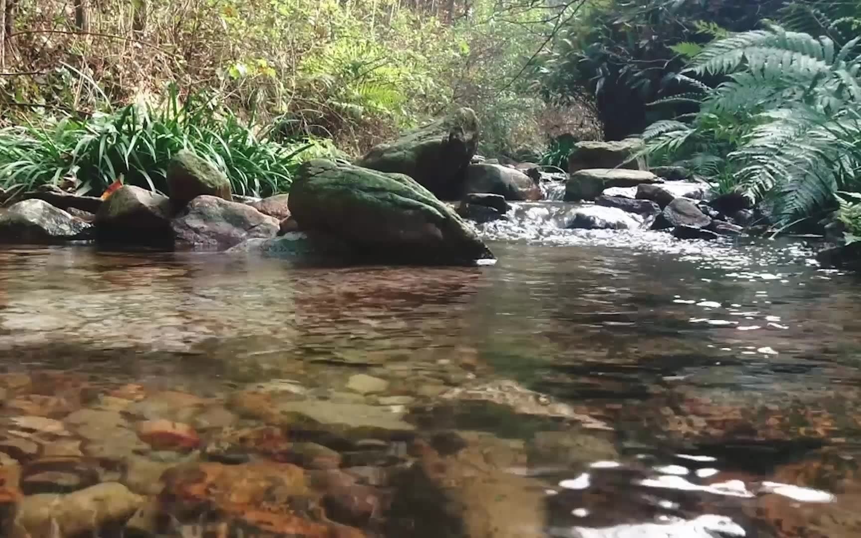 [图]【白噪音】大自然的声音 放鬆 睡眠 冥想 學習/ Relaxing Sleeping Meditation Yoga Study（White Noise）