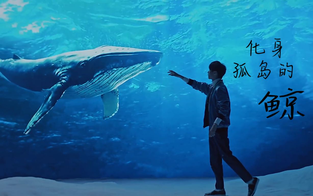 千凯千化身孤岛的鲸