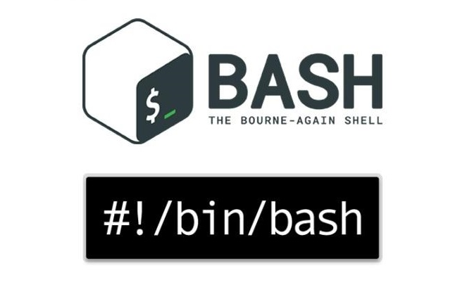 linuxshell批处理编程实训