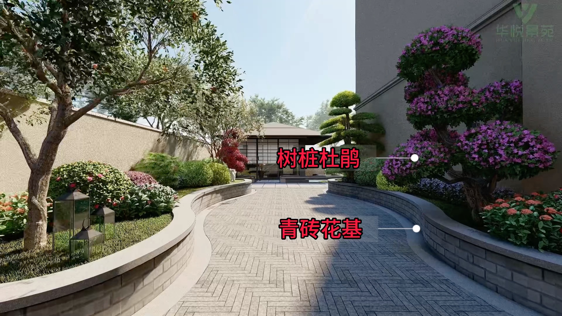 庭院这样做,省钱又出效果#庭院设计#庭院景观#别墅花园#园林景观#园林