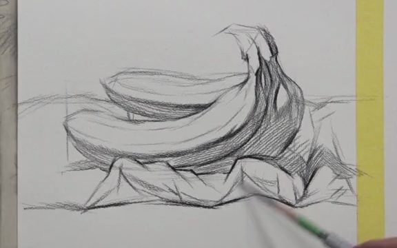 香蕉素描结构图片