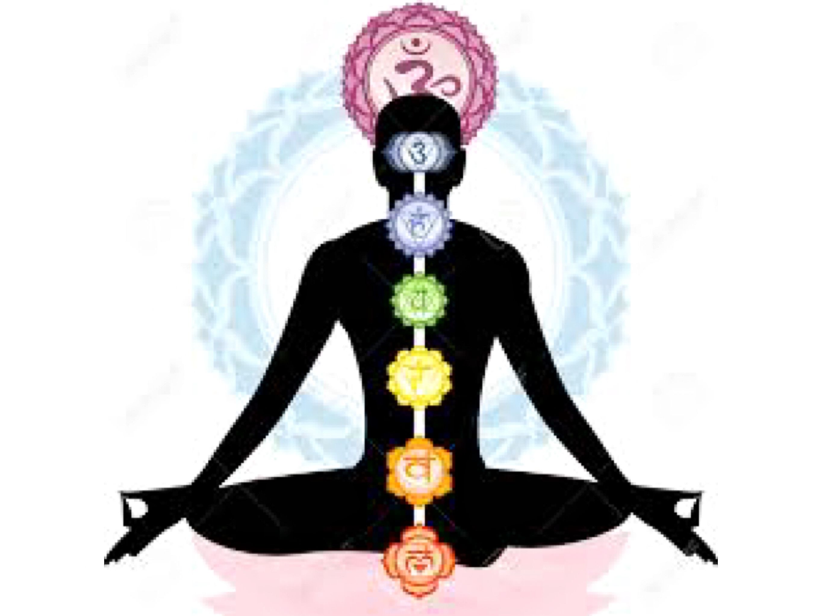 一阶:清洁法:4,练习方案2节---8,清洁法练习方案导学-第一阶段