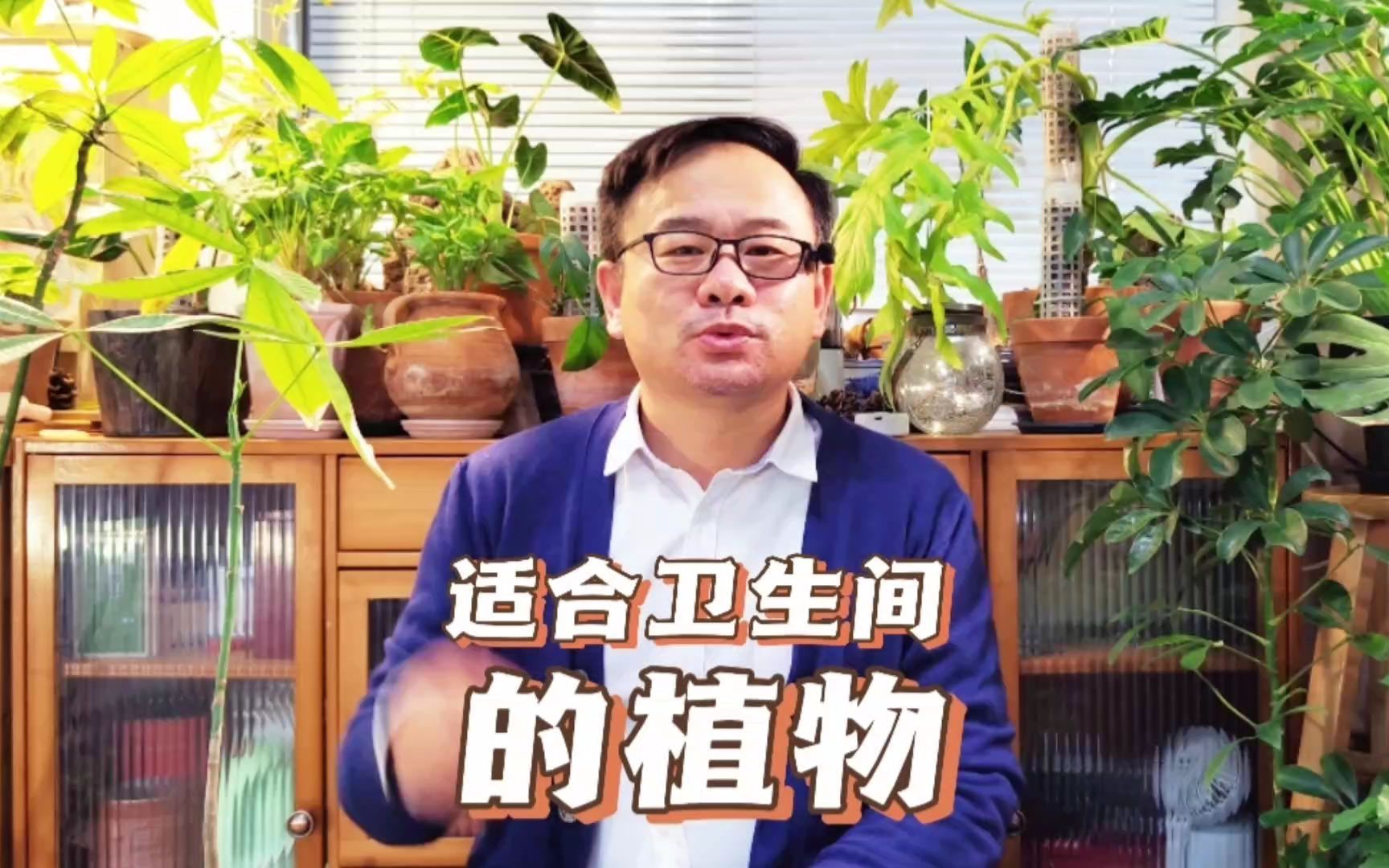 适合卫生间养的绿植有哪些?推荐6款,厕所变成绿植园哔哩哔哩bilibili