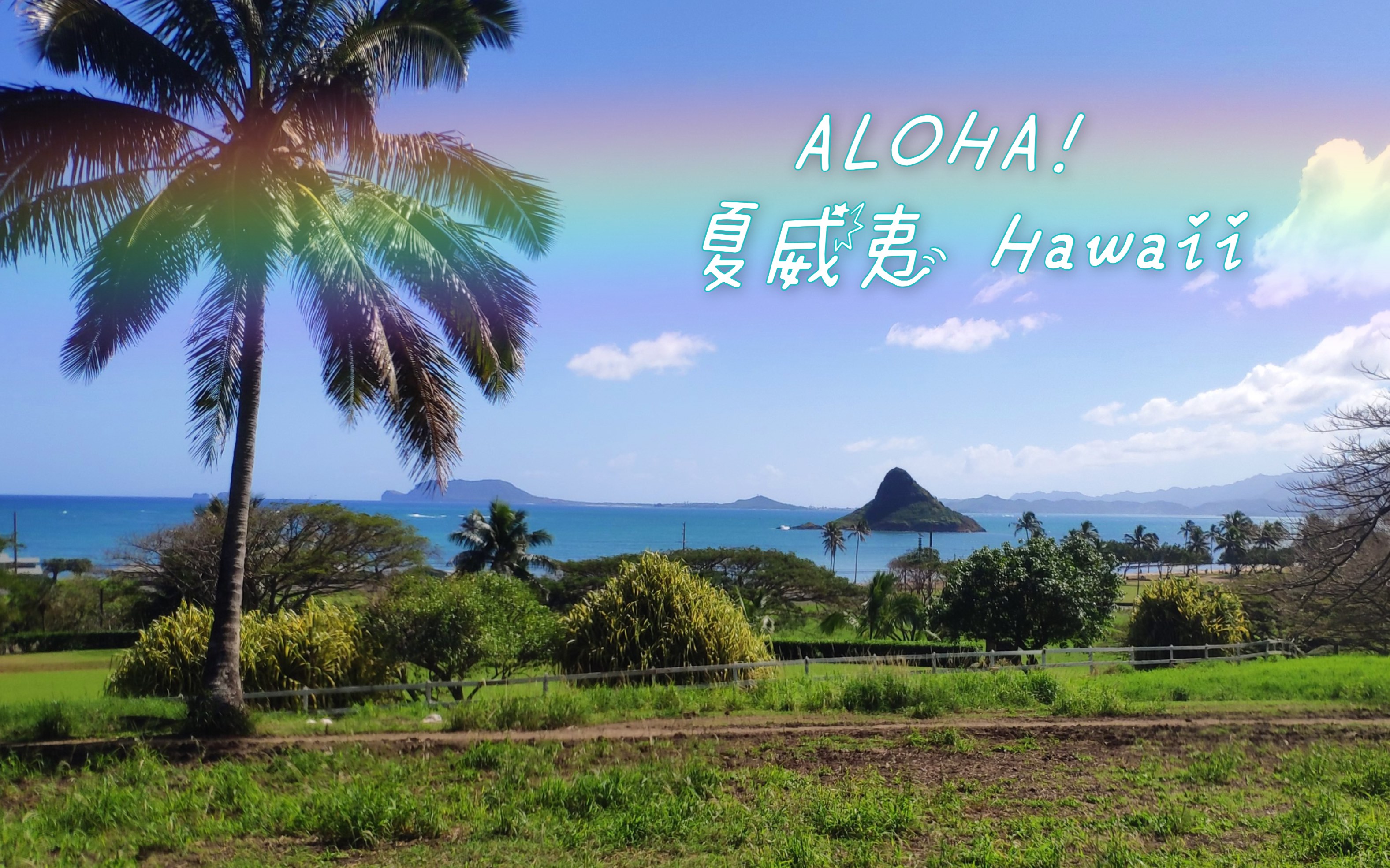 aloha! 夏威夷是个好地方嘿!好地方哟!来来来来来