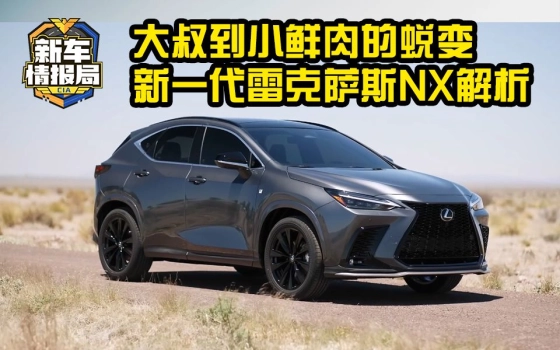 新车情报局的个人空间 哔哩哔哩 Bilibili