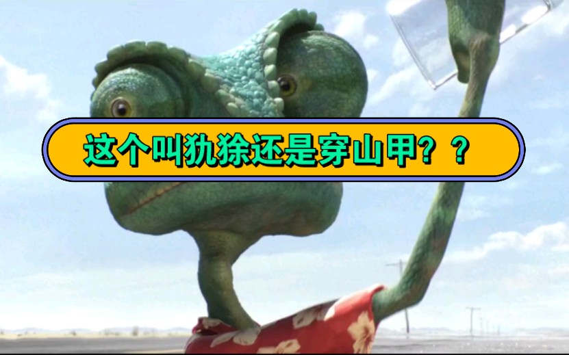 这个叫犰狳还是穿山甲?