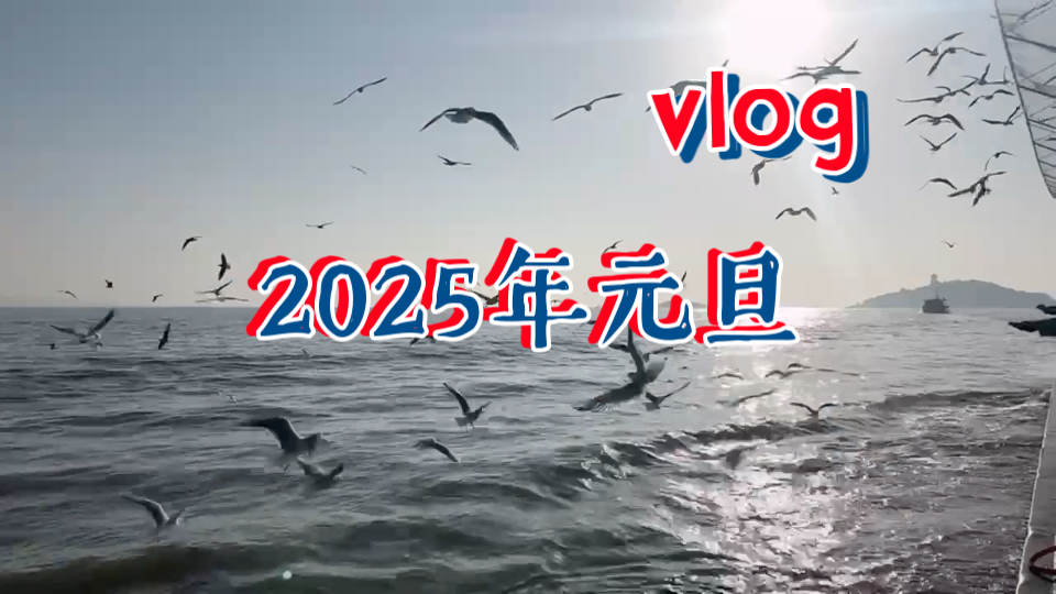 2025年|020期|第一站在无锡|红嘴鸥哔哩哔哩bilibili