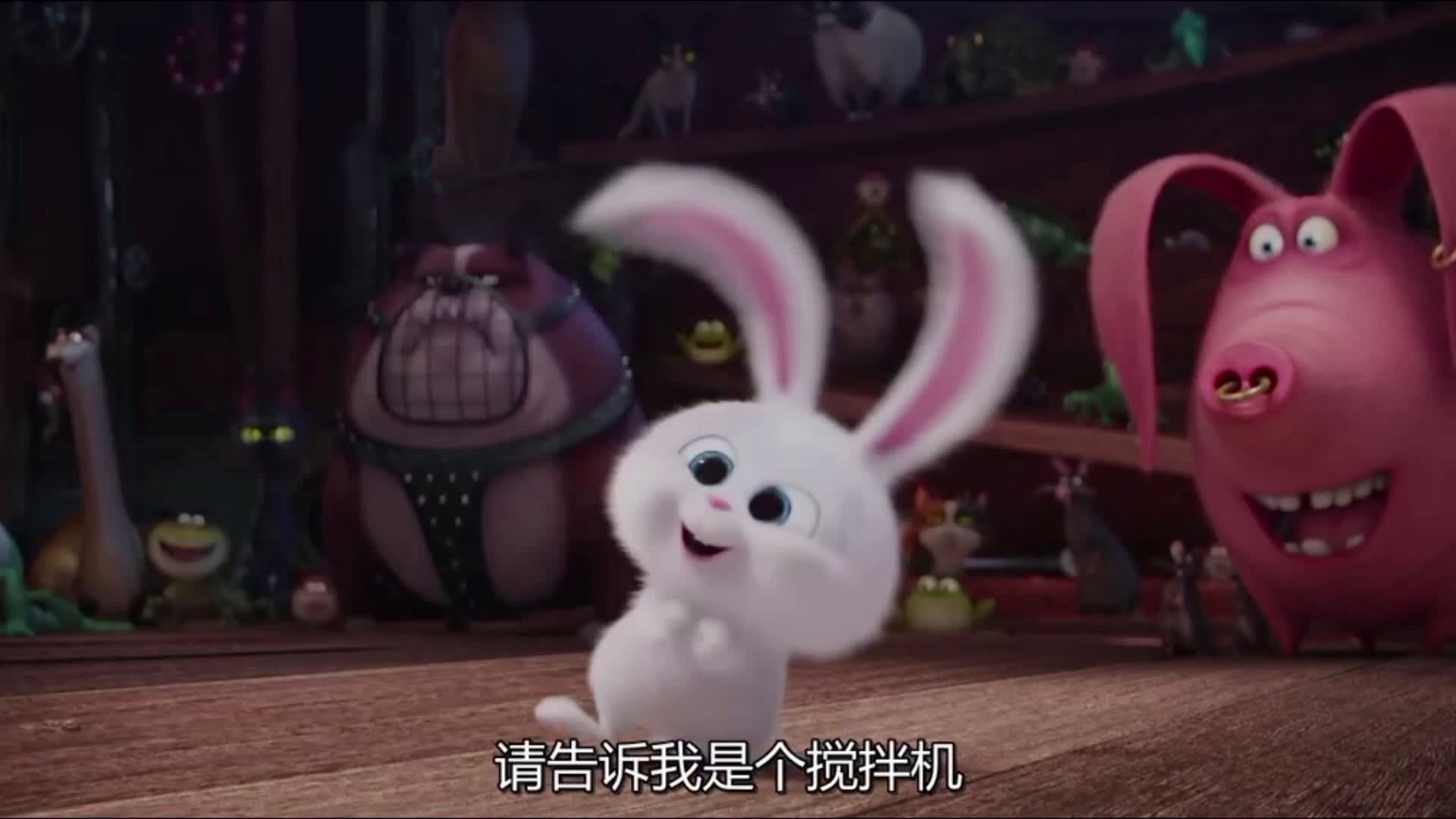 爱宠大作战剪辑视频