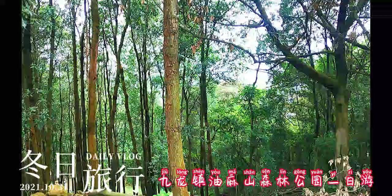 油麻山森林公园一日游哔哩哔哩bilibili