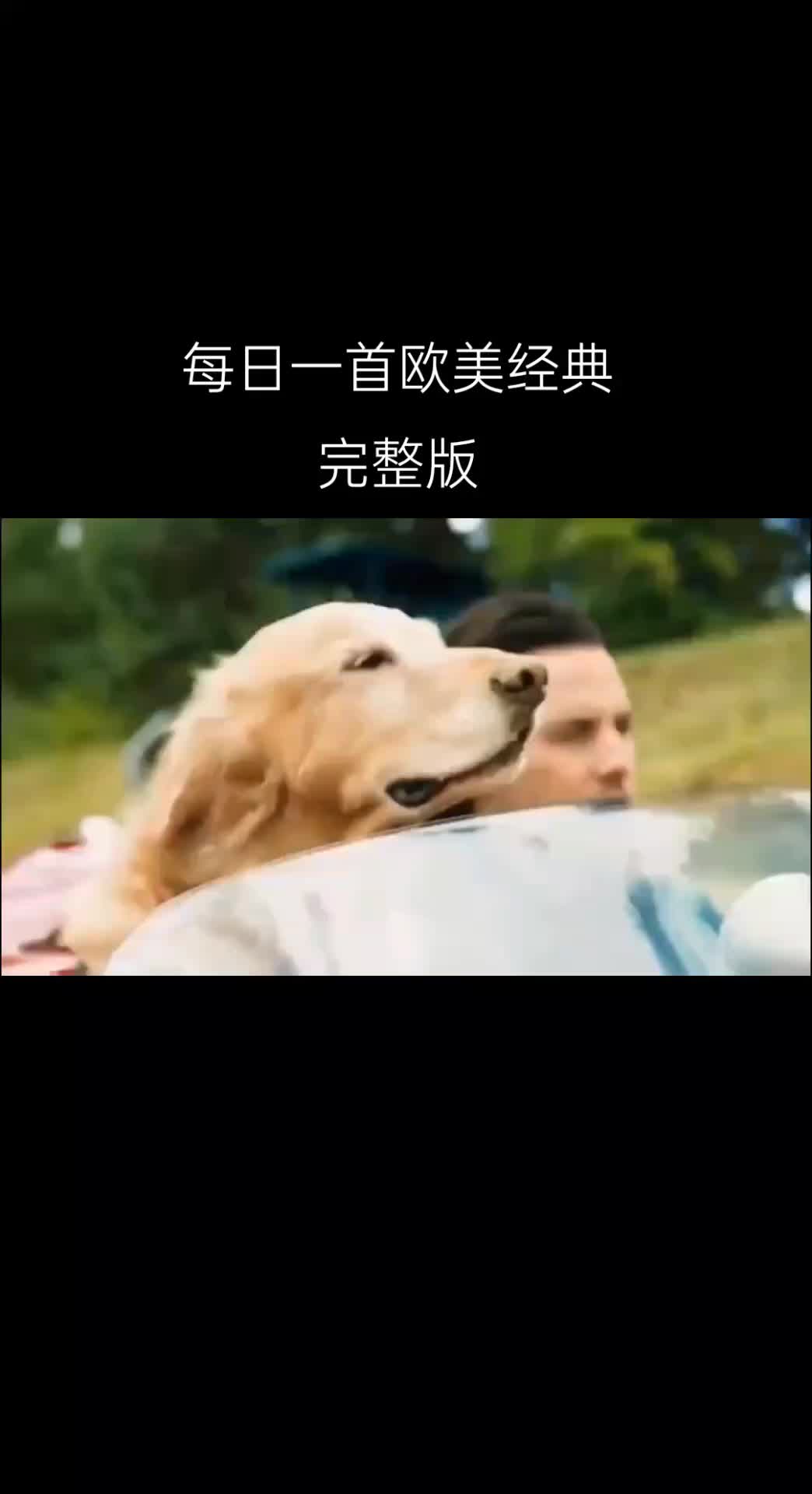 一首很温馨的英文歌曲一首温暖抒情的一首歌《Home》家,请大家欣赏!哔哩哔哩bilibili